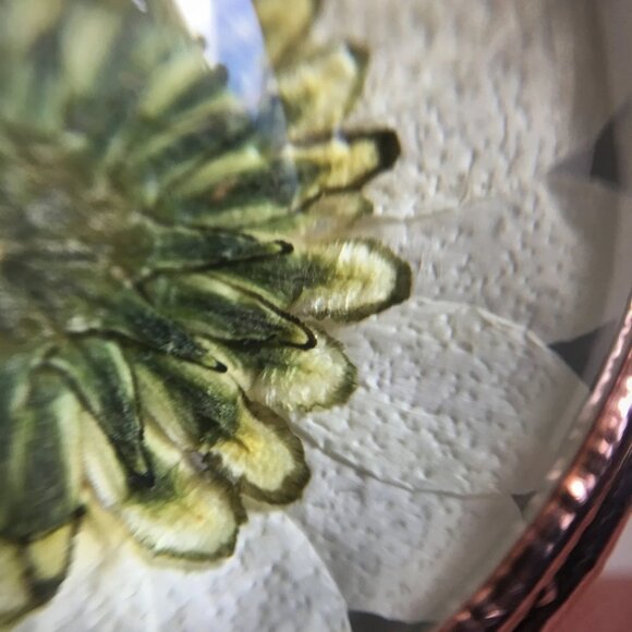 Real Daisy Necklace/Pressed Flower Pendant/Botanical Globe Amulet by Query Eve - Picture 5 of 11